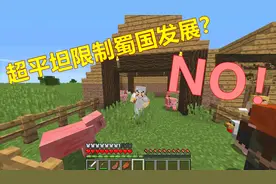 我的世界三国：超平坦生存没“小鸡”怎么办？mod村庄看一看！视频封面