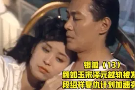 银狐（13）颜如玉宋泽元越轨被发现，段绍祥复仇计划加速实施视频封面