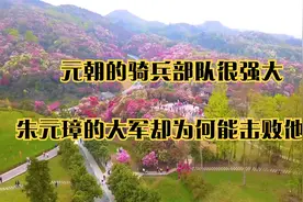 元朝的骑兵部队很强大朱元璋的大军却为何能击败他们视频封面