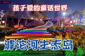 石家庄滹沱河艺术生态岛夜晚真像一个童话世界，孩子们都喜欢这里视频封面