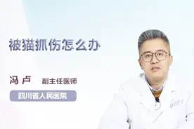 医生解答：被猫抓伤怎么办