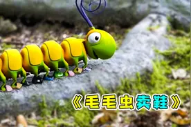 毛毛虫卖鞋子，通过不懈的努力，成功变成一只花蝴蝶。动画电影视频封面