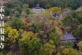 古树包佛——乐至县报国寺视频封面