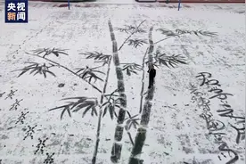 不一样的美术课！美术老师雪地中扫出巨幅雪竹图视频封面