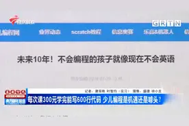 每次课300元学完能写600行代码 少儿编程是机遇还是噱头？视频封面