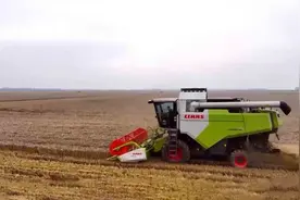 芒种至，河南麦收进度已64.2% 西平县调10台大马力收割机抢收烘干视频封面