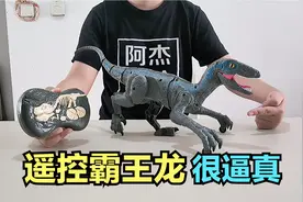 开箱试玩“奔跑的霸王龙”，形象逼真，音效吓人，竟给她吓一跳！视频封面