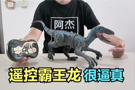 开箱试玩“奔跑的霸王龙”，形象逼真，音效吓人，竟给她吓一跳！视频封面