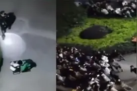 男孩高校路灯下学习，被误以为表白遭围观，现场简直太欢乐了视频封面