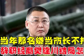 当年，那名嫌当市长不挣钱，辞职经商的樊建川，结局怎样？视频封面