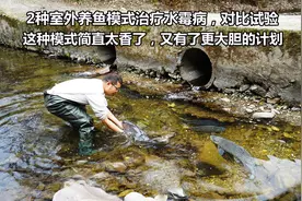 鱼养在室外晒太阳就能治水霉病？10天2组实验结果对比，看看有啥视频封面