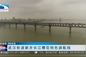 【5G连线】武汉轮渡新开长江樱花特色游航线视频封面