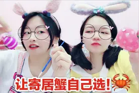 花熊姐妹宠物大PK，帮寄居蟹改造外壳，最后谁的更加少女心呢？