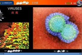 VIRUSES 病毒 跟常荣认识微观世界 4K 家庭学堂视频封面