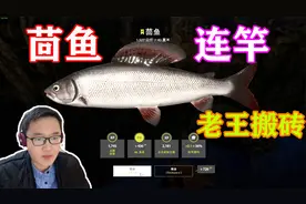 俄钓4:老王白河搬砖，茴鱼连竿，挣了不少