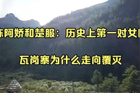 陈阿娇和楚服：历史上第一对女同_瓦岗寨为什么走向覆灭视频封面