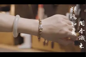 蝉的寓意：事业一鸣惊人，爱情缠缠绵绵。视频封面