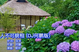 一首DJ歌曲《人不可貌相》海水不可斗量，歌词现实太好听了！视频封面