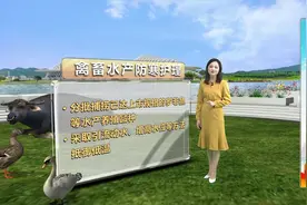未来2天广西仍有雨雾影响 29-30日强冷空气杀来气温暴跌视频封面