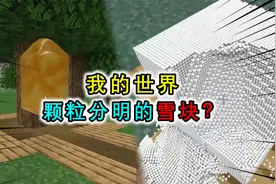 我的世界：颗粒分明的雪块？蜂蜜块粘性忽强忽弱，雪块用药丸子做