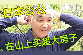 日本公公在山上买了3000平方地，花了60万人民币，这也太会生活了