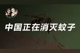 灭蚊大业，消灭蚊子不是奢望，中国正在推进灭蚊计划视频封面