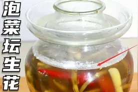 泡菜坛生花，放白酒不管用，四川大姐教你，坛水清亮，一点不生花