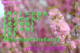 <蜗牛><再见吧老兵><爱我枣强><为爱祝福><序><Rhy视频封面