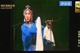 经典潮剧《井边会》全集视频封面