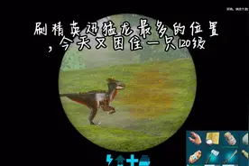 方舟生存进化手游：刷精英迅猛龙最多位置，今天又困住一只120级视频封面