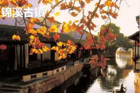 春节去哪玩 这7个旅行地省钱又高级还不挤人（六）视频封面