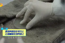 一条抹布里就有四千万细菌，会造成食物污染，真假？|新闻大求真视频封面