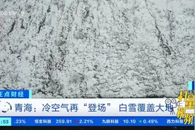 重庆：巫溪红池坝景区迎来降雪|正点财经视频封面