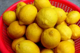 6毛钱一个柠檬，用食盐腌制起来，化痰又止咳，保存10年都不坏