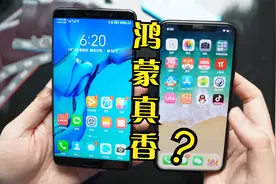五年前的华为Mate10，升级鸿蒙系统后，跟iPhone X比谁更快？视频封面