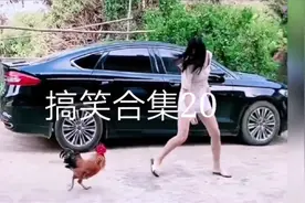 搞笑合集：勤劳的牛，奔跑着耕地，笑死我了！看完笑到肚子疼！视频封面