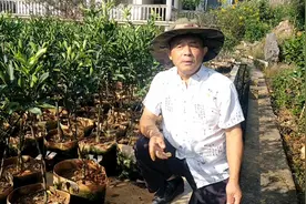 水泥地面也能种植植物，也能创造好的经济效益，老杨实地展示！视频封面