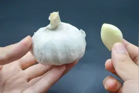不管嘴里蒜味有多重，教你一招，蒜味轻松去除，方法很简单视频封面