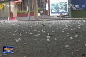 紧急通知！11级大风+冰雹+降雨+雷电，山东强对流天气已“到货”视频封面