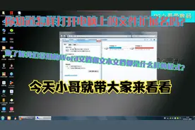 你知道怎样打开电脑上文件隐藏的扩展名吗？今天小哥就分享给大家