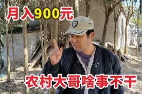安徽60岁农民每月拿900块，你羡慕吗？听农村大哥怎么说！视频封面