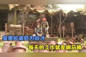 皇贵妃被贬去刷马桶视频封面