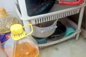 家里有蟑螂别着急，在地上撒一点它，蟑螂来多少灭多少，方法实用视频封面