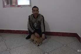 详解猎狗鼻，传承相狗术，大家可以评论区相互交流视频封面