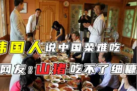 韩国人吐槽中国菜难吃，他国网友回怼：山猪吃不了细糠视频封面