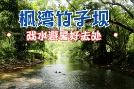 韶关适合亲子戏水的原生态小溪，开车就能到达，避暑好去处~