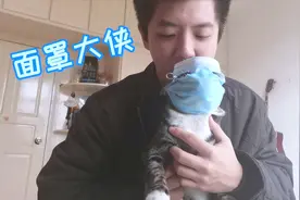 铲屎官为猫咪特制防疫情口罩，看到成品的那一刻，无法直视！