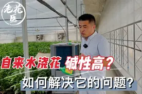 自来水浇花碱性高？如何解决它的问题？养花巧妙小知识！视频封面