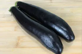紫茄子怎么做好吃，教你新吃法，我家一周吃3次，比肉都香