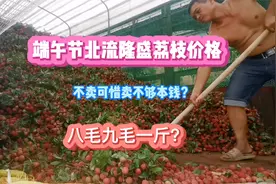 广西北流隆盛荔枝之乡？9妹价格为何如此贵？8毛9毛够成本吗？视频封面